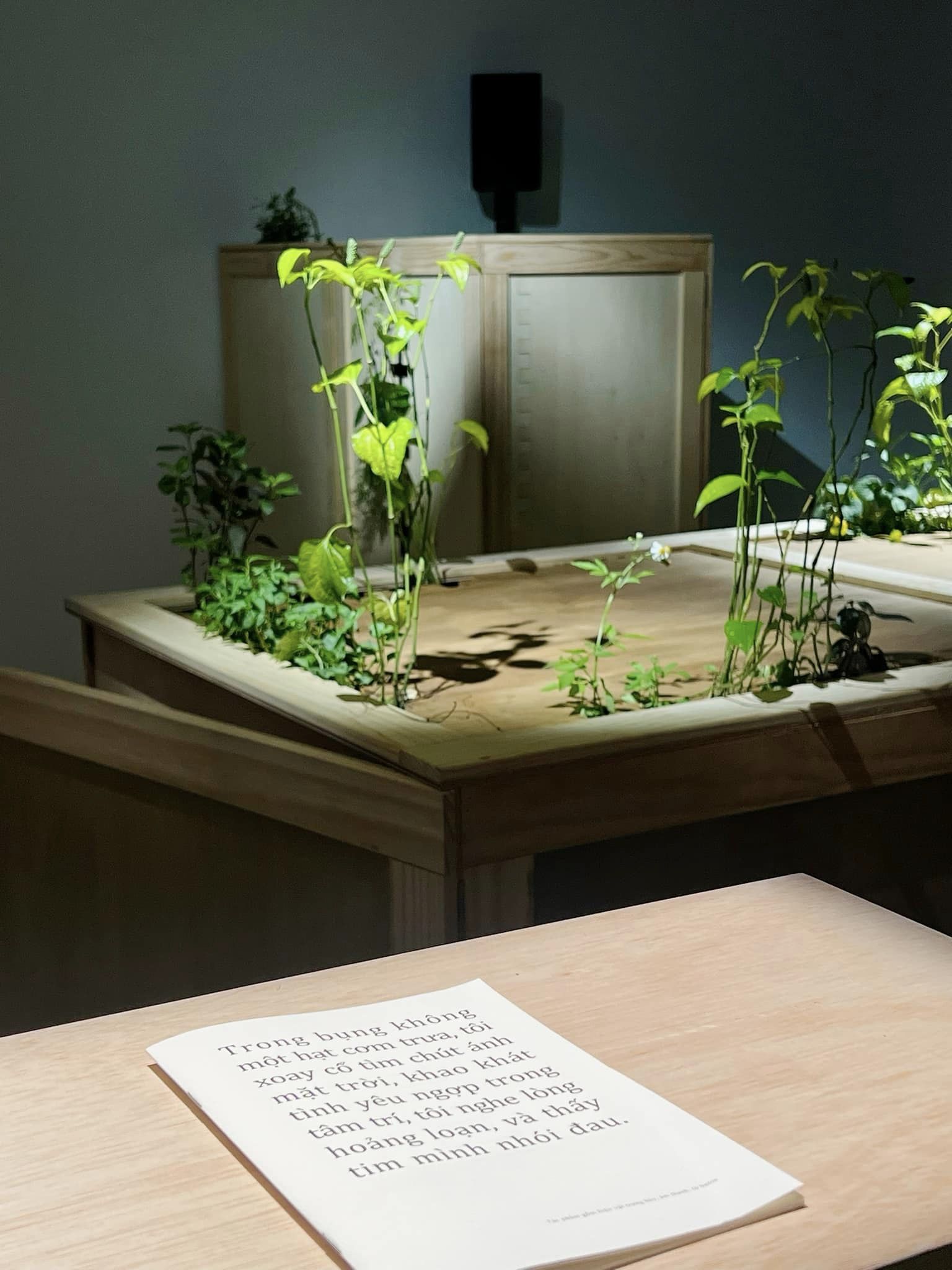 Geopoetics: Changing Nature of Threatened Worlds